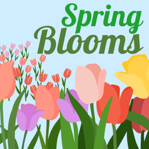 image of tulips with the text "Spring Blooms"