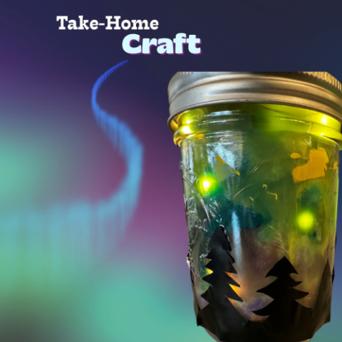 image of a jar decorated with trees and containing colored lights