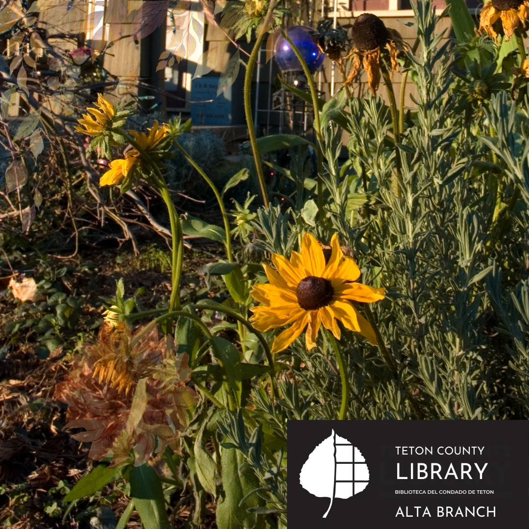 image of fall flowers with the Alta Branch Library logo